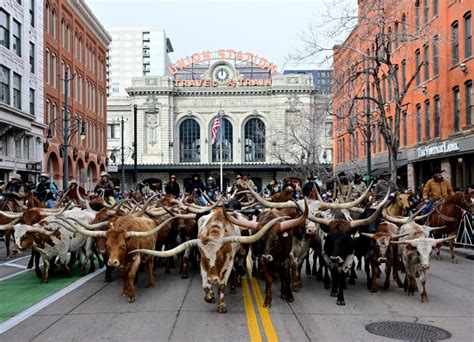 PHOTOS: National Western Stock Show Parade 2024 in downtown Denver